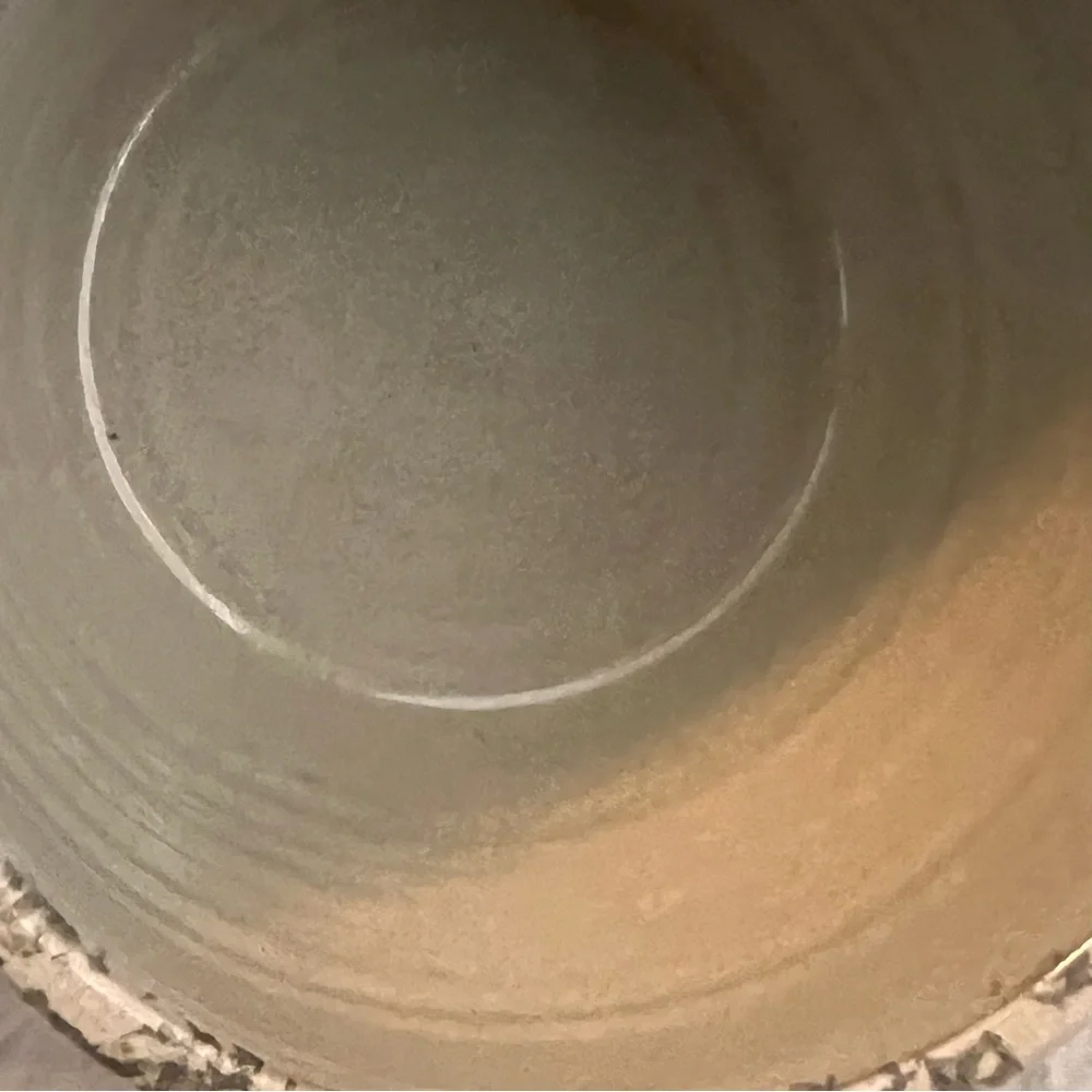 2001 Pigeon Switch Pottery Bowl with Handle Large Mug Trees Nature Hand Painted